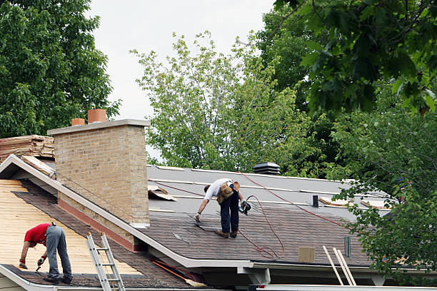 Roof Gutter Cleaning in Helmetta, NJ