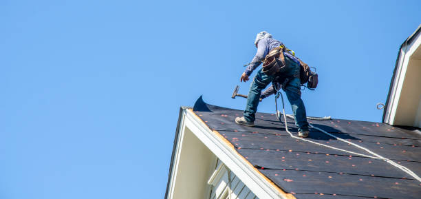 Best Roof Gutter Cleaning  in Helmetta, NJ